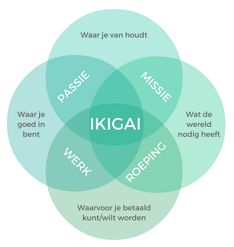Ikigai: kijken naar zingeving in je job